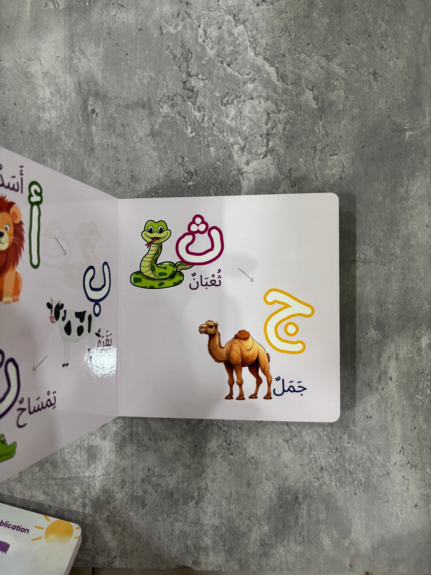 Board Books - Letters