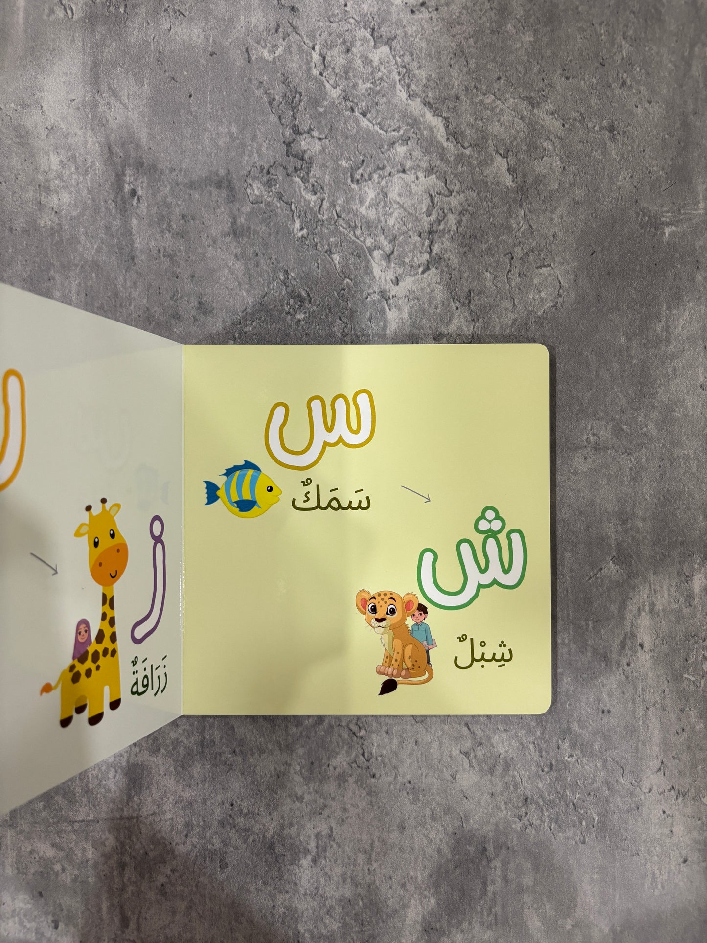Board Books - Letters
