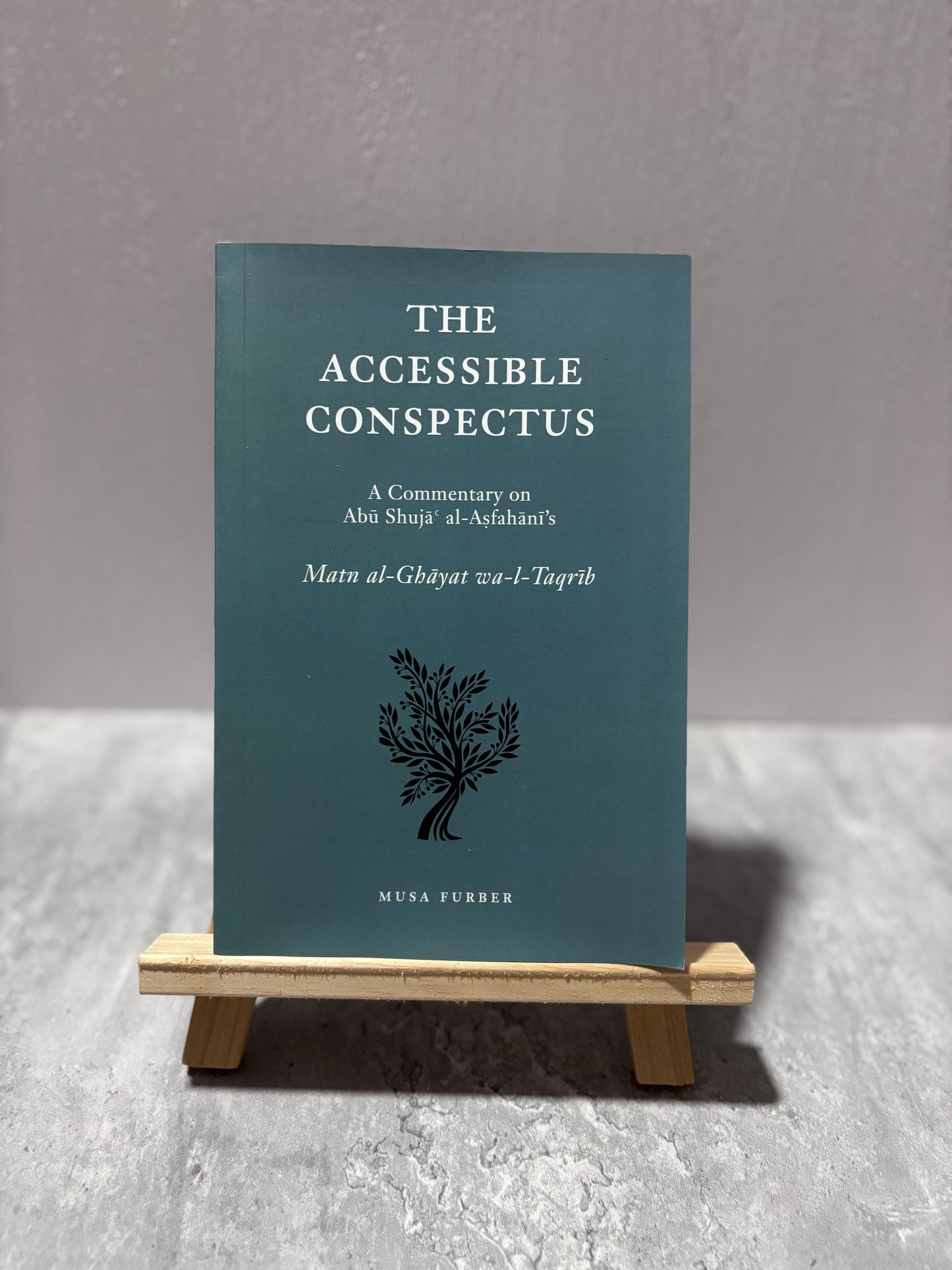 The Accessible Conspectus